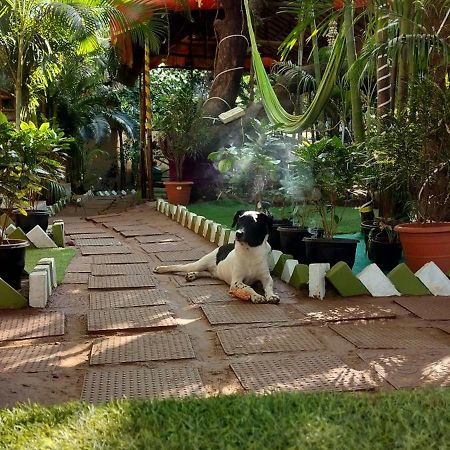 Nature Of Arambol Exterior foto